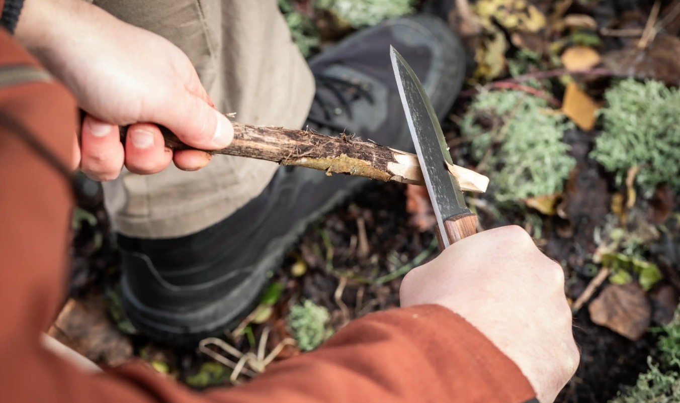 Overhead view of hands cutting a notch into a green branch with a Scandi ground bushcraft knife on mossy ground