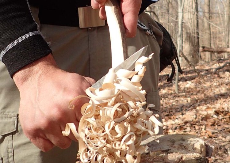 Hands cutting a thick curl of feather stick shavings from a stick with a bushcraft knife in a winter hardwood forest