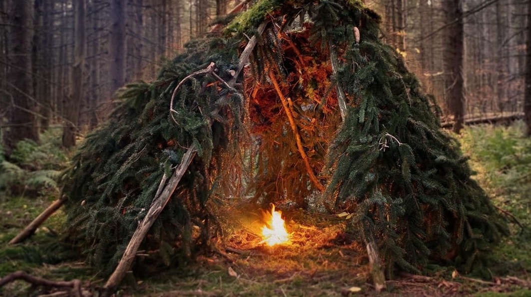 Spruce bough A-frame shelter in a dark conifer forest with a small fire burning at the entrance